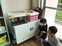 キアゲハを見つめる子どもたち