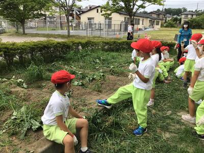 今日はここまで。